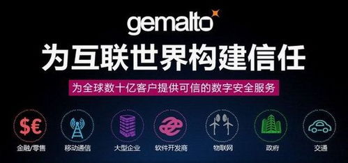 加密狗价格与服务解析 如何选择适合您的互联网安全解决方案